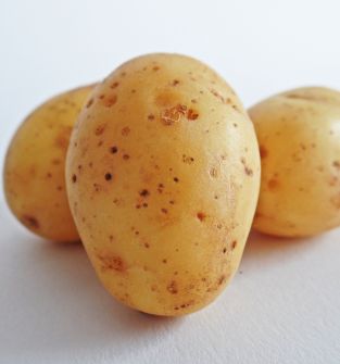 Ziemniak jadalny