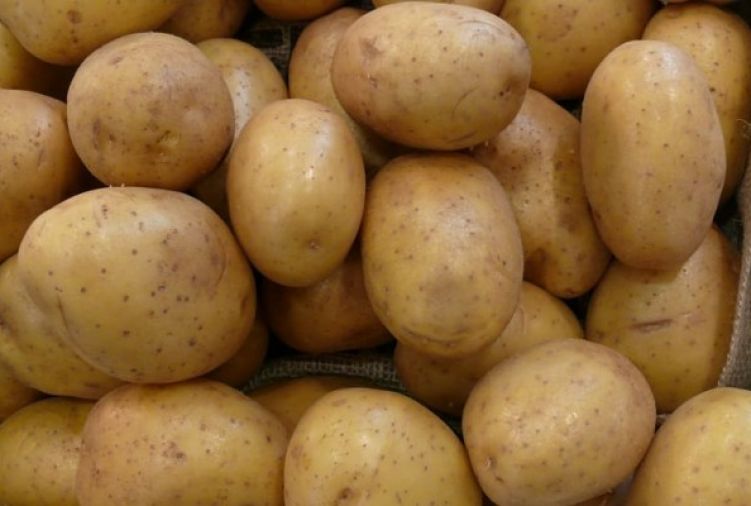 Ziemniak Jadalny